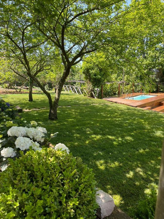 Villa Spartano Sant'Agata Sui Due Golfi Massalubrense Massa Lubrense Luaran gambar